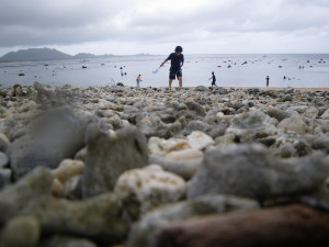 台風の石垣島。米原ビーチ。手前はぜーんぶサンゴのかけら。
