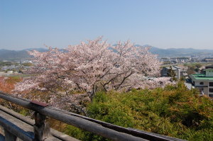 法輪寺より、嵐山界隈を一望。 法輪寺より、嵐山界隈を一望。