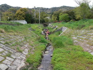 皇子山公園、小川探検隊。