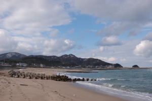 田舎の正月、いつもの風景。