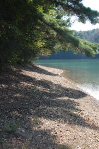 沢池トレッキング、日陰は涼し。